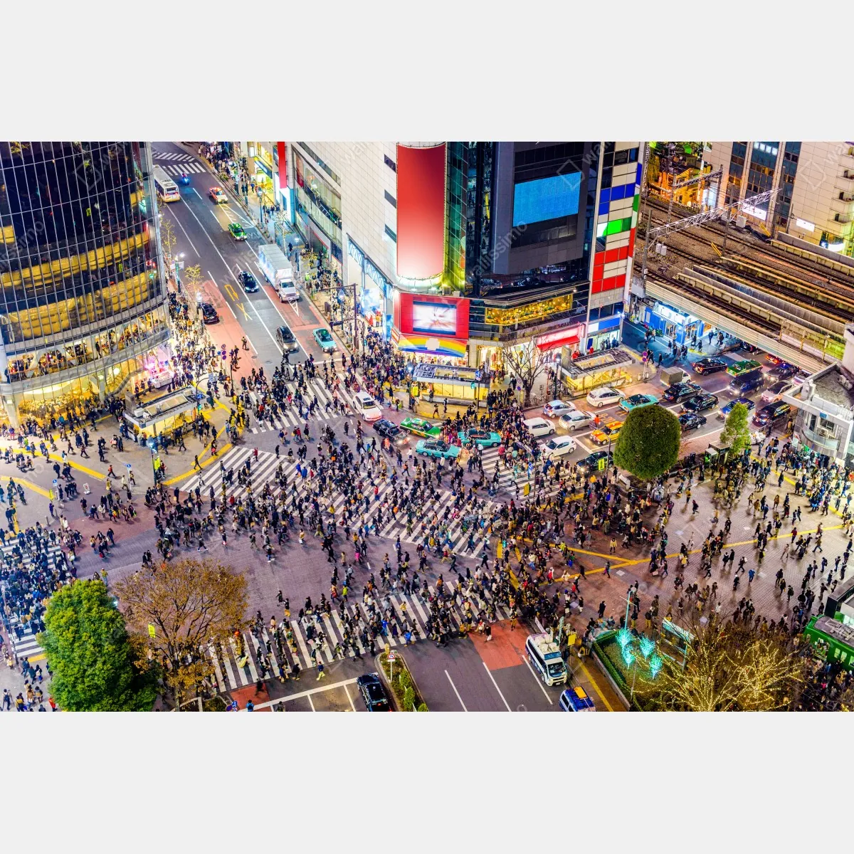 Fototapeta Shibuya nocne skrzyżowanie – Wallissimo® Fototapeta Shibuya nocne skrzyżowanie – Wallissimo®