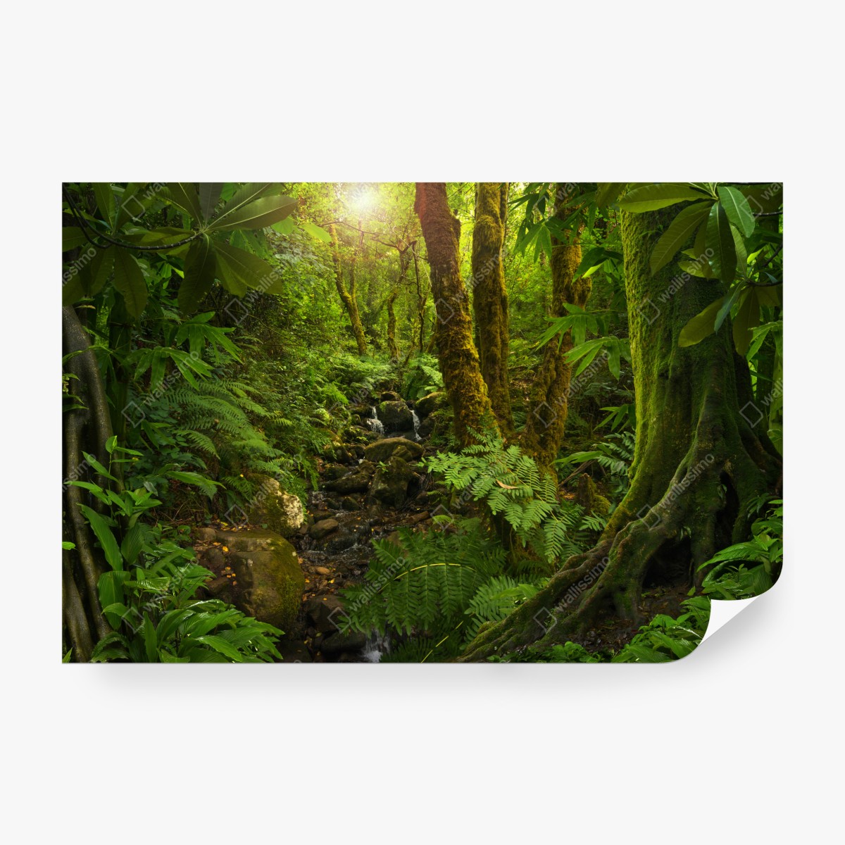 Fototapeta porośnięty mchem leśny potok – Wallissimo® Fototapeta porośnięty mchem leśny potok – Wallissimo®