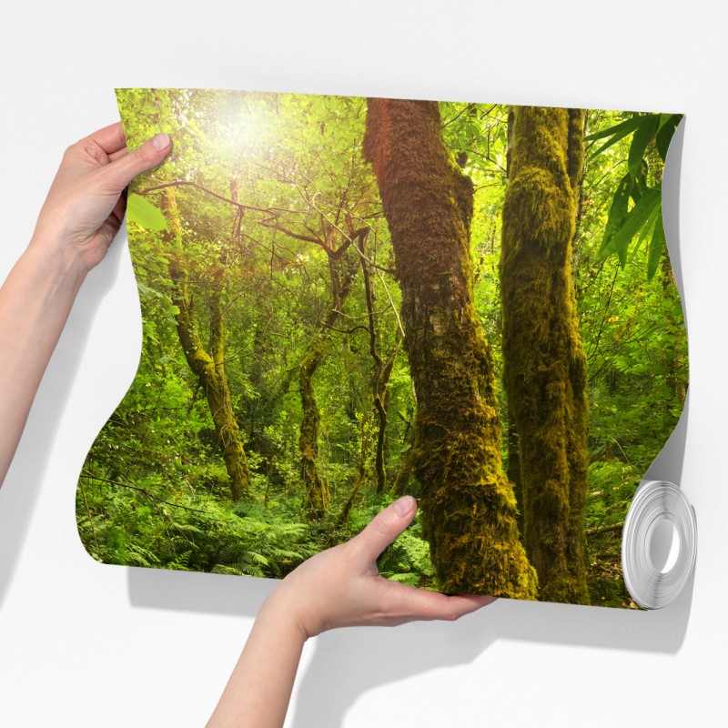 Fototapeta porośnięty mchem leśny potok – Wallissimo® Fototapeta porośnięty mchem leśny potok – Wallissimo®