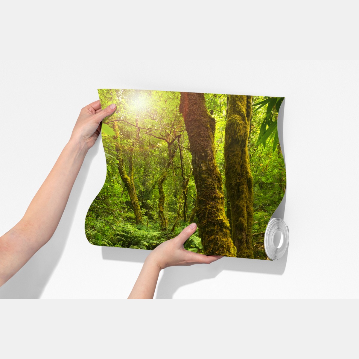 Fototapeta porośnięty mchem leśny potok – Wallissimo® Fototapeta porośnięty mchem leśny potok – Wallissimo®