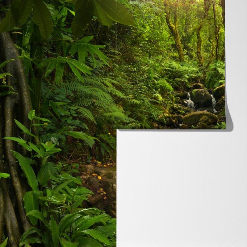 Fototapeta porośnięty mchem leśny potok – Wallissimo® Fototapeta porośnięty mchem leśny potok – Wallissimo®