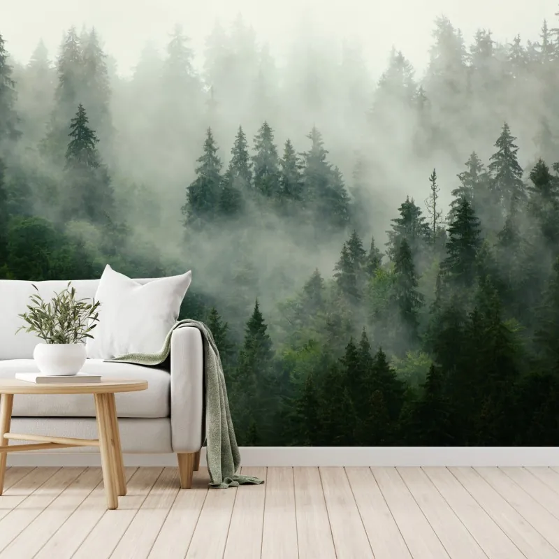 Fototapeta mglisty iglasty las