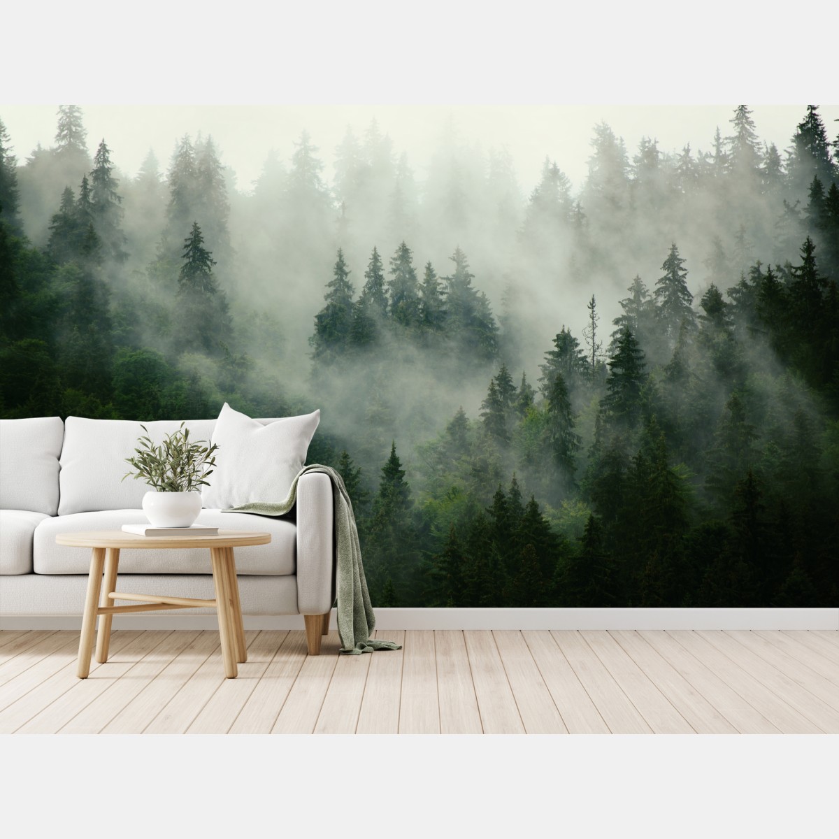 Wall mural misty evergreen forest