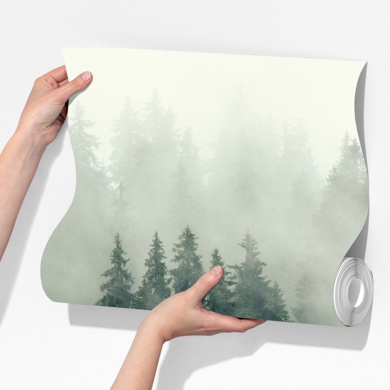 Fototapeta mglisty iglasty las – Wallissimo® Fototapeta mglisty iglasty las – Wallissimo®