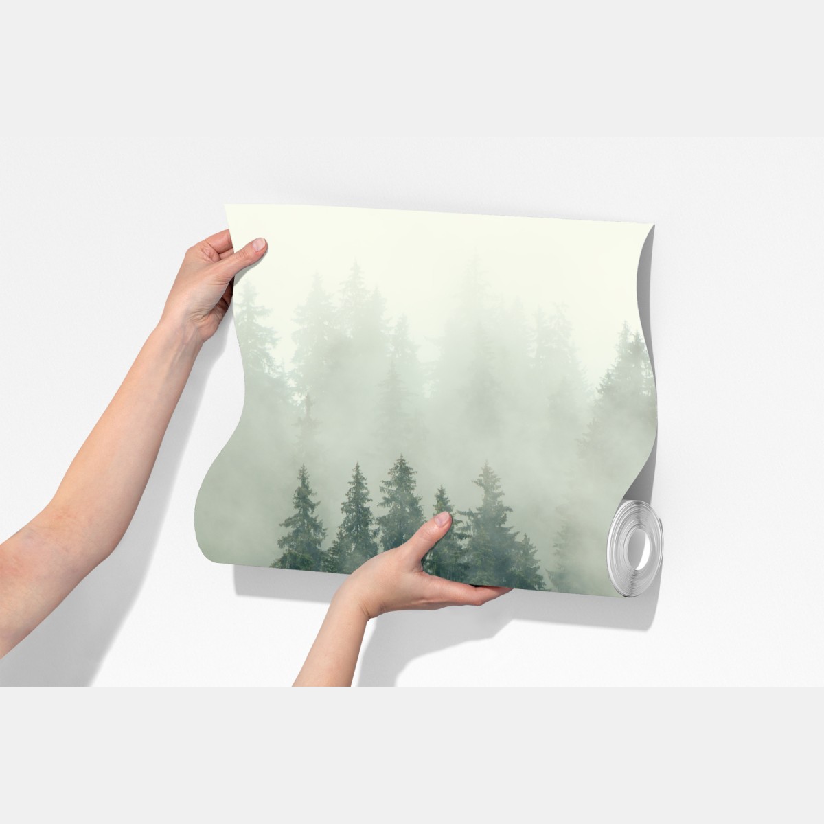 Fototapeta mglisty iglasty las – Wallissimo® Fototapeta mglisty iglasty las – Wallissimo®