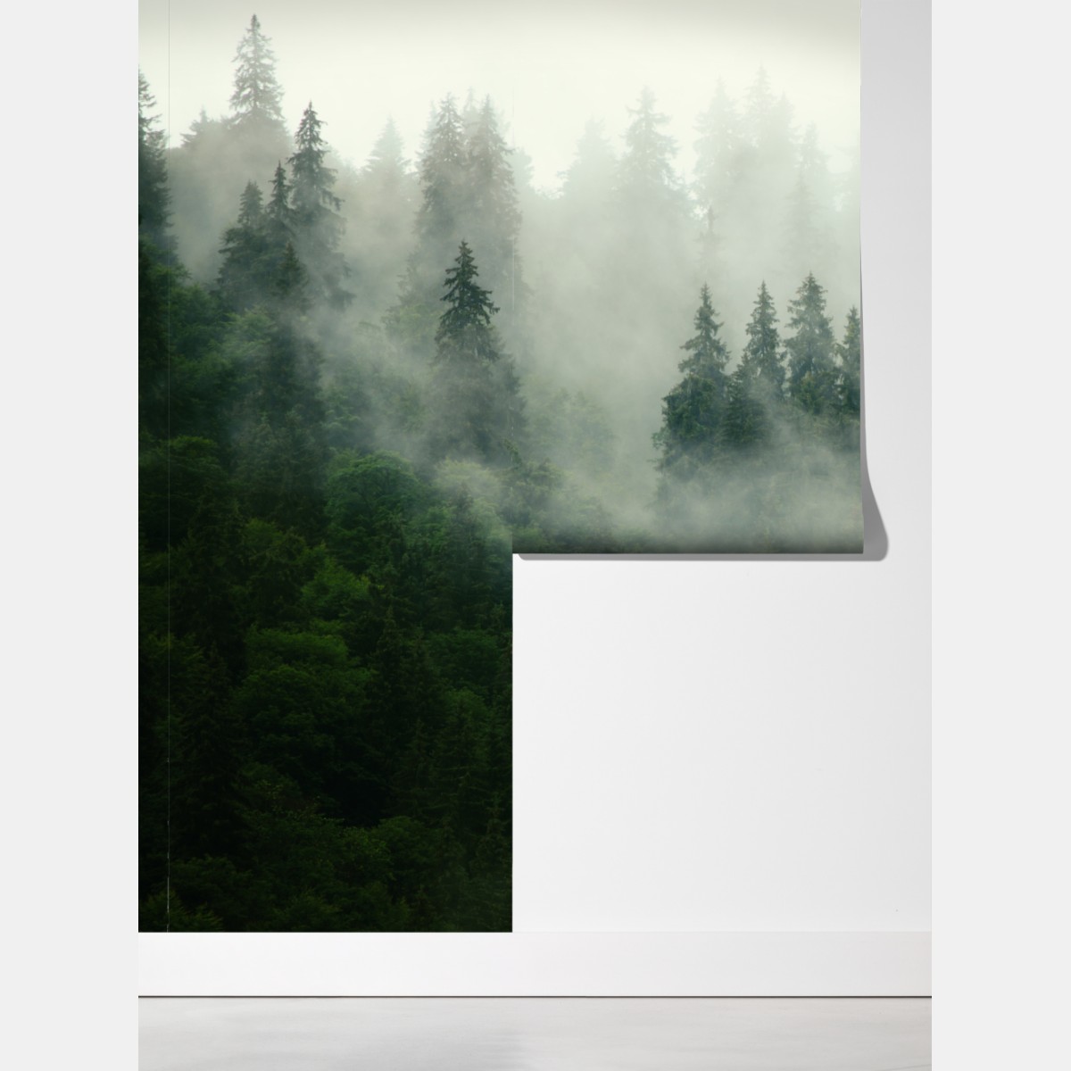 Fototapeta mglisty iglasty las – Wallissimo® Fototapeta mglisty iglasty las – Wallissimo®