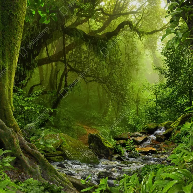 Fototapeta zaczarowany zielony leśny strumień – Wallissimo® Fototapeta zaczarowany zielony leśny strumień – Wallissimo®