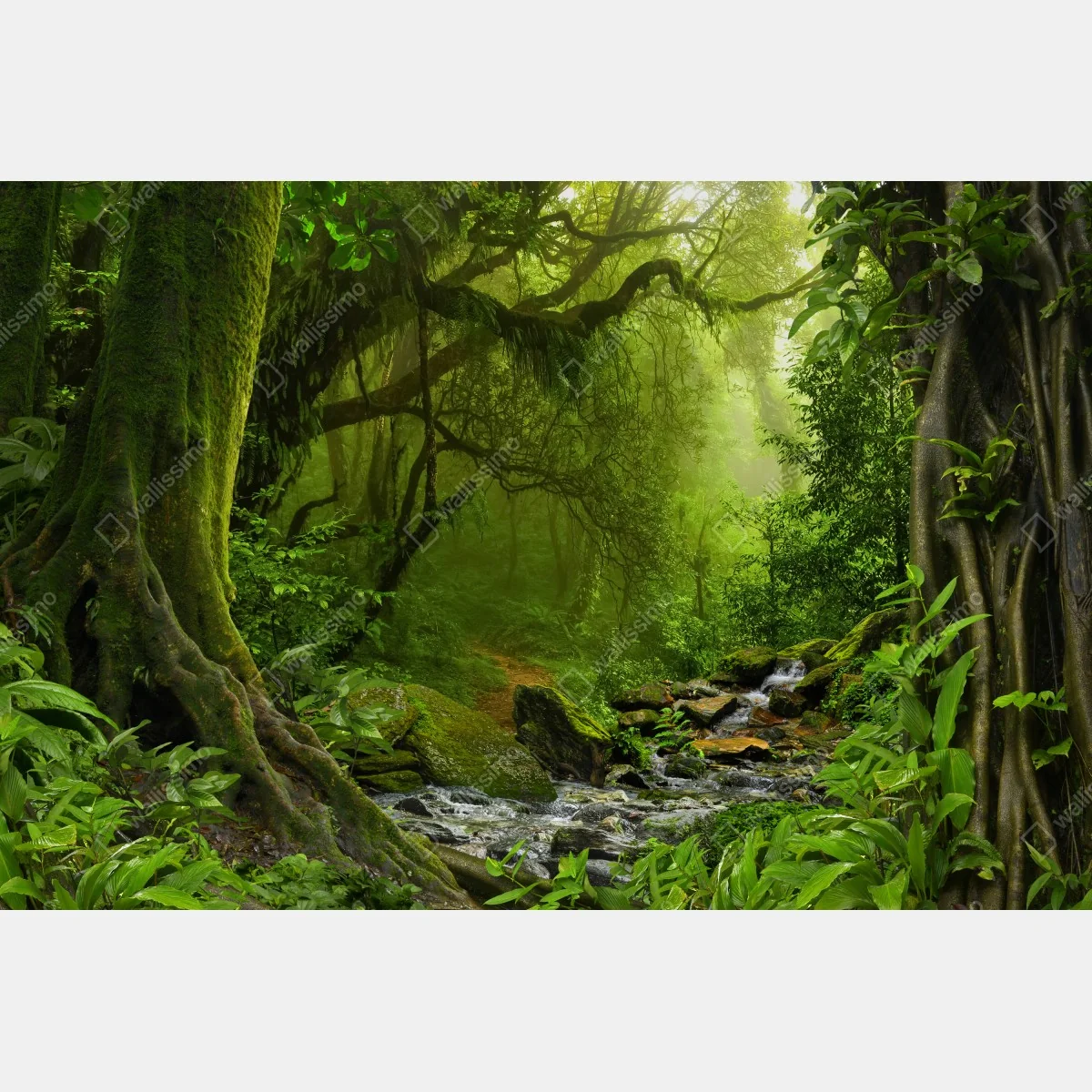 Fototapeta zaczarowany zielony leśny strumień – Wallissimo® Fototapeta zaczarowany zielony leśny strumień – Wallissimo®