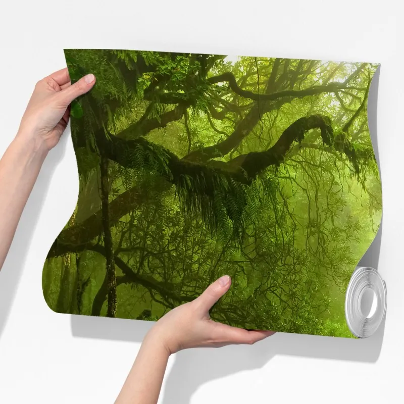 Fototapeta zaczarowany zielony leśny strumień – Wallissimo® Fototapeta zaczarowany zielony leśny strumień – Wallissimo®