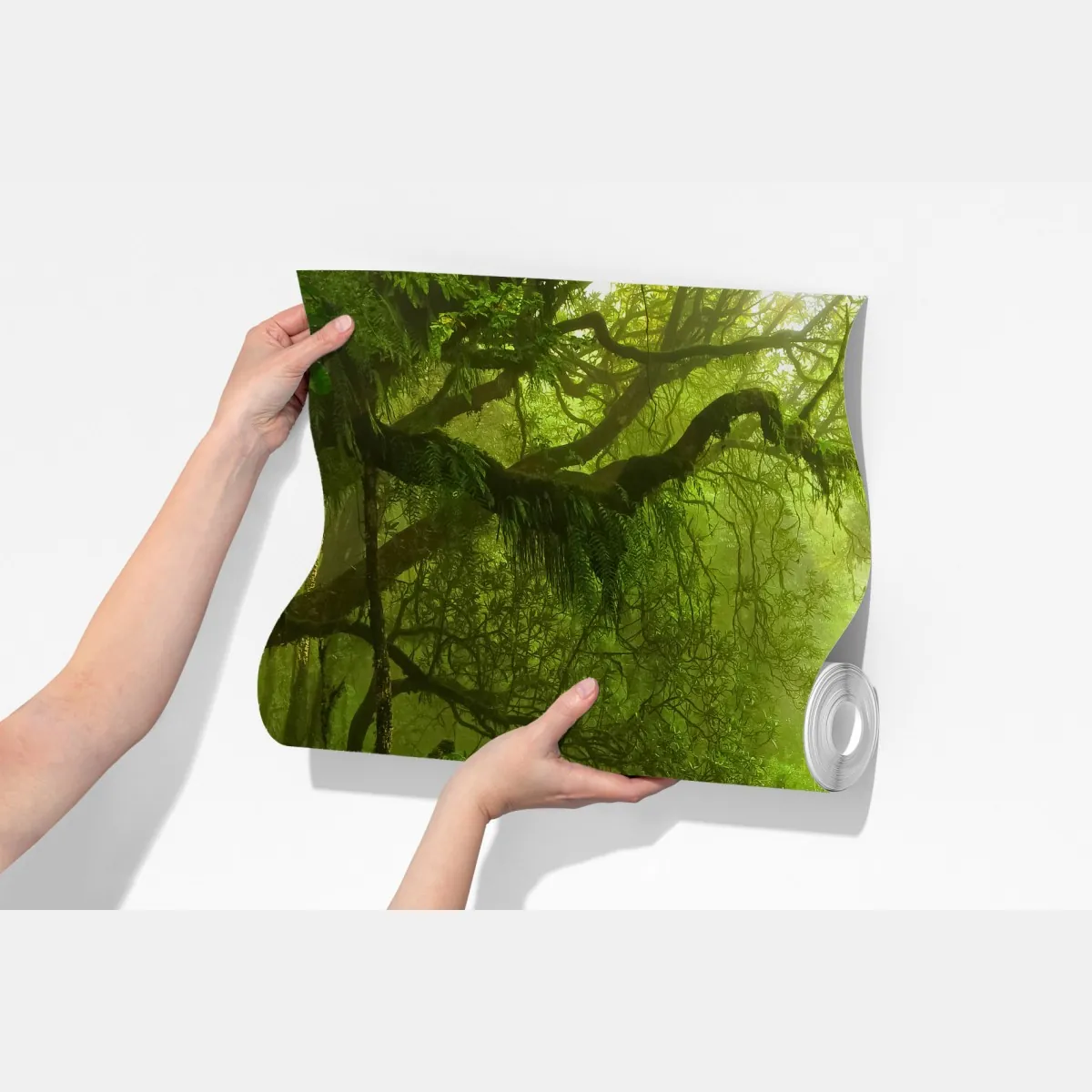 Fototapeta zaczarowany zielony leśny strumień – Wallissimo® Fototapeta zaczarowany zielony leśny strumień – Wallissimo®