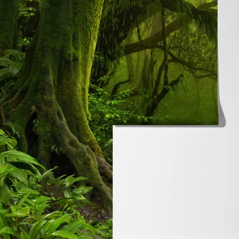 Fototapeta zaczarowany zielony leśny strumień – Wallissimo® Fototapeta zaczarowany zielony leśny strumień – Wallissimo®