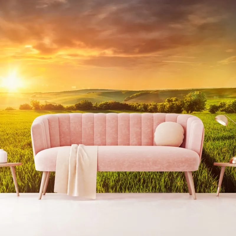 Fototapeta słoneczna łąka o zachodzie słońca