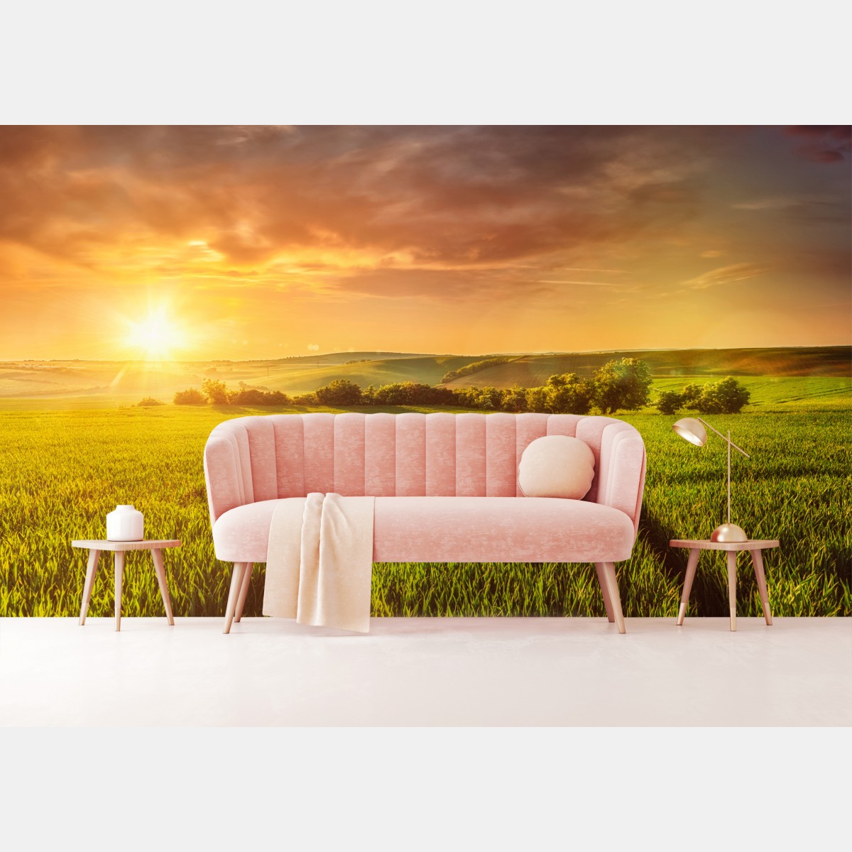 Wall mural sunlit meadow at sunset
