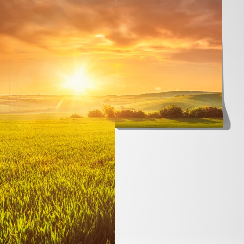 Fototapeta słoneczna łąka o zachodzie słońca – Wallissimo® Fototapeta słoneczna łąka o zachodzie słońca – Wallissimo®