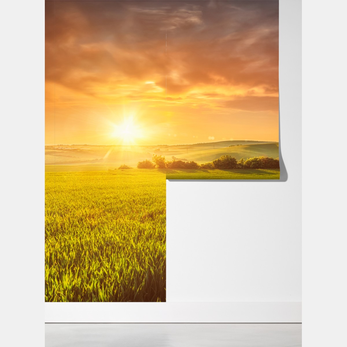 Fototapeta słoneczna łąka o zachodzie słońca – Wallissimo® Fototapeta słoneczna łąka o zachodzie słońca – Wallissimo®