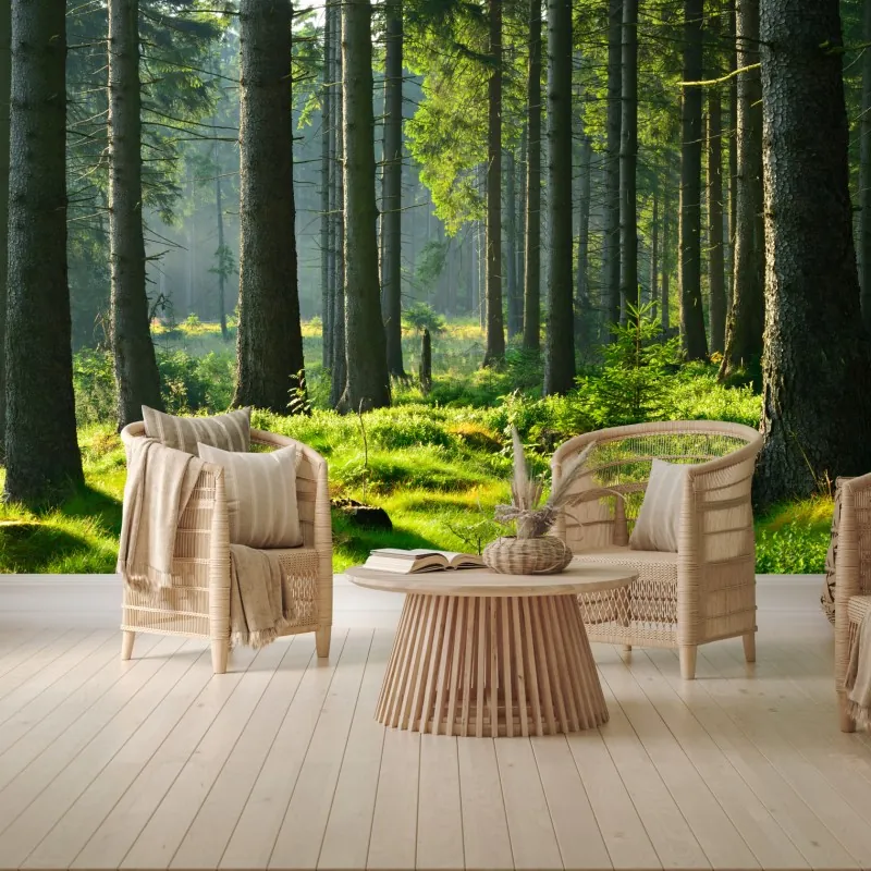 Fototapeta słoneczna zielona polana w lesie