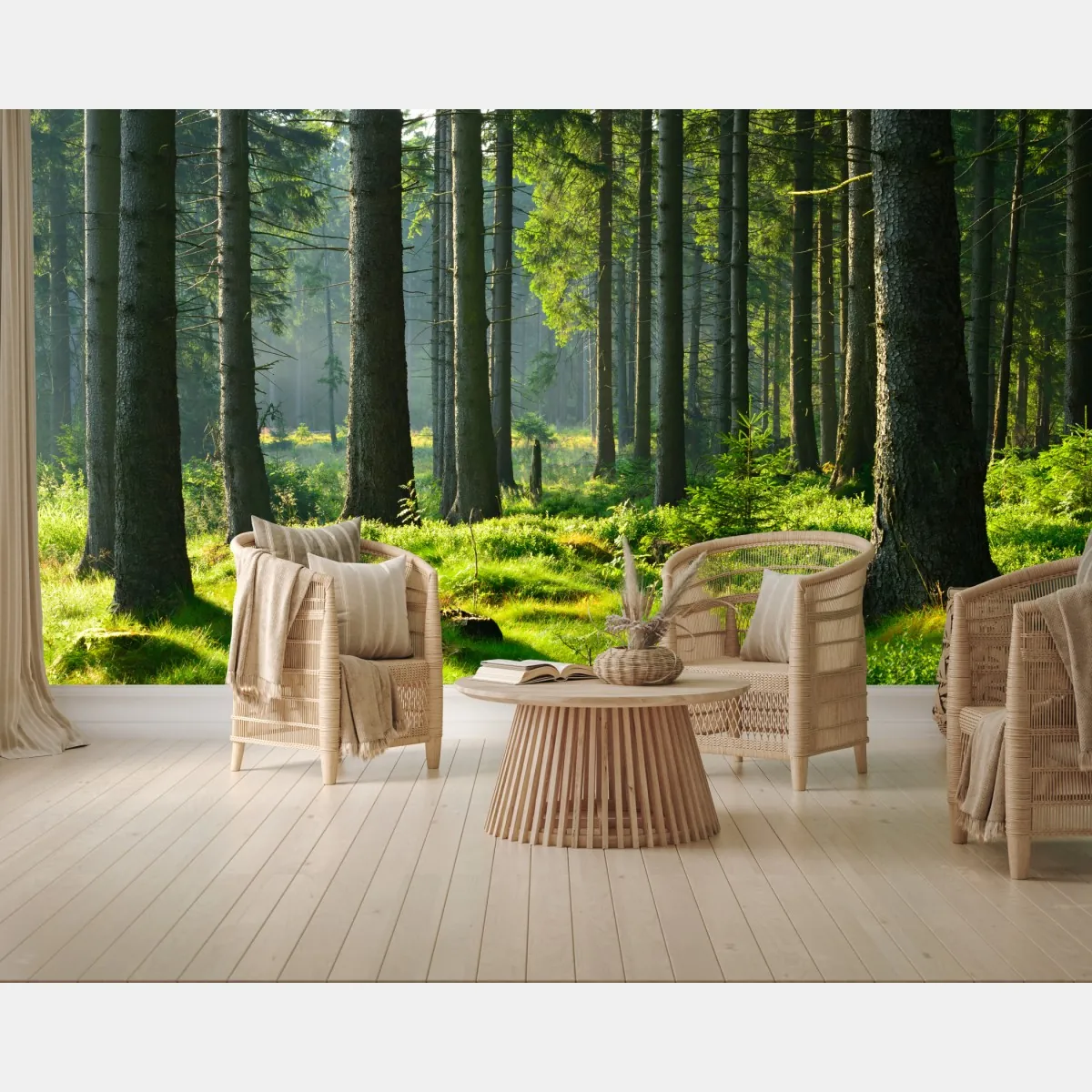 Fototapeta słoneczna zielona polana w lesie – Wallissimo® Fototapeta słoneczna zielona polana w lesie – Wallissimo®