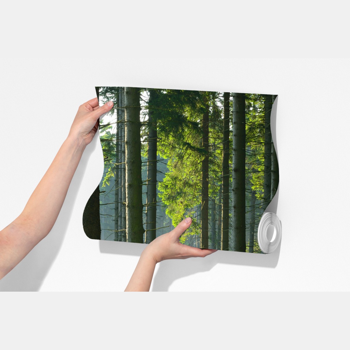 Fototapeta słoneczna zielona polana w lesie – Wallissimo® Fototapeta słoneczna zielona polana w lesie – Wallissimo®