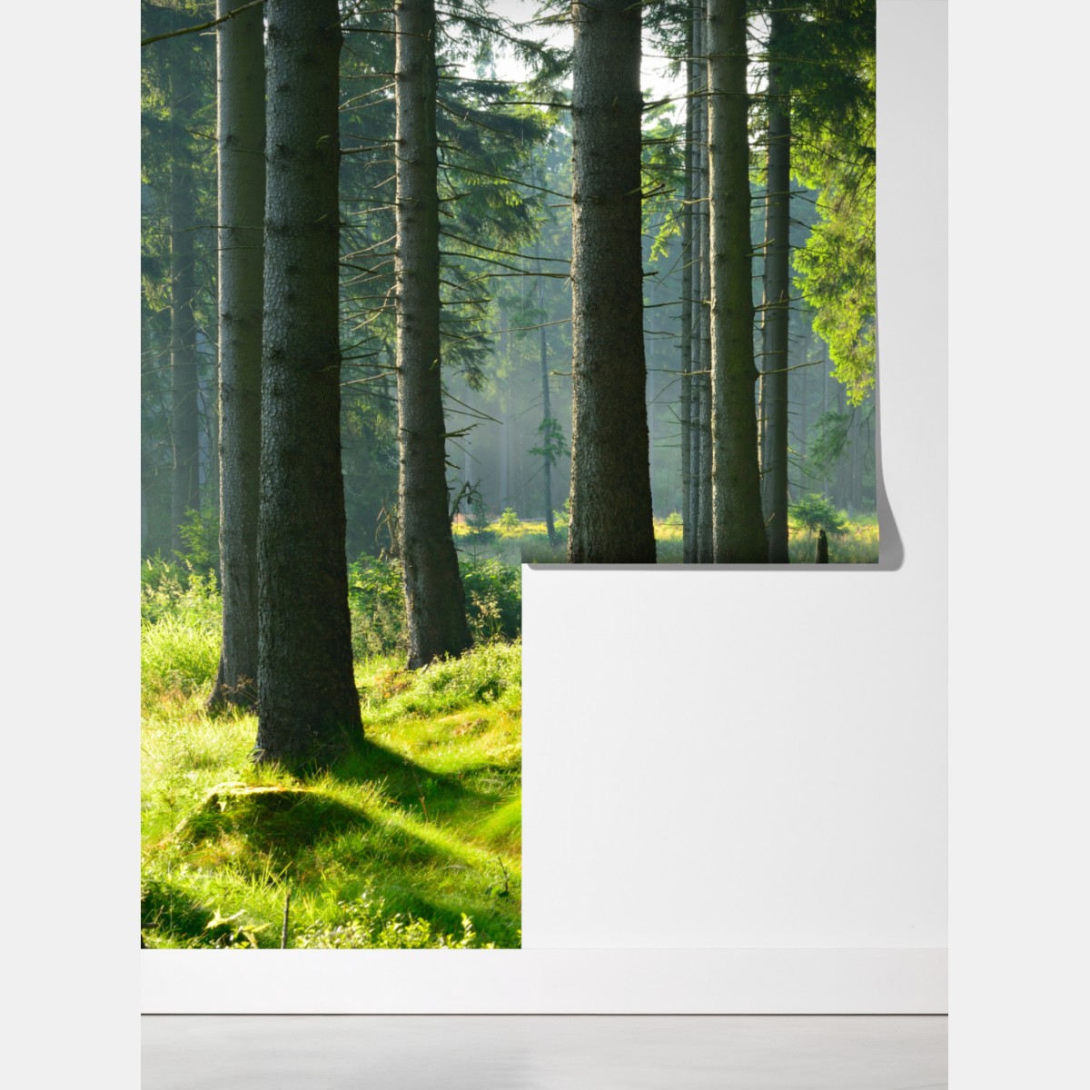 Fototapeta słoneczna zielona polana w lesie – Wallissimo® Fototapeta słoneczna zielona polana w lesie – Wallissimo®