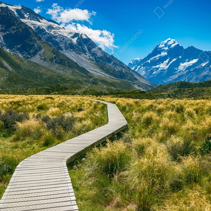 Fototapeta kładka przez łąkę prowadząca do ośnieżonych szczytów – Wallissimo® Fototapeta kładka przez łąkę prowadząca do ośnieżonych szczytów – Wallissimo®