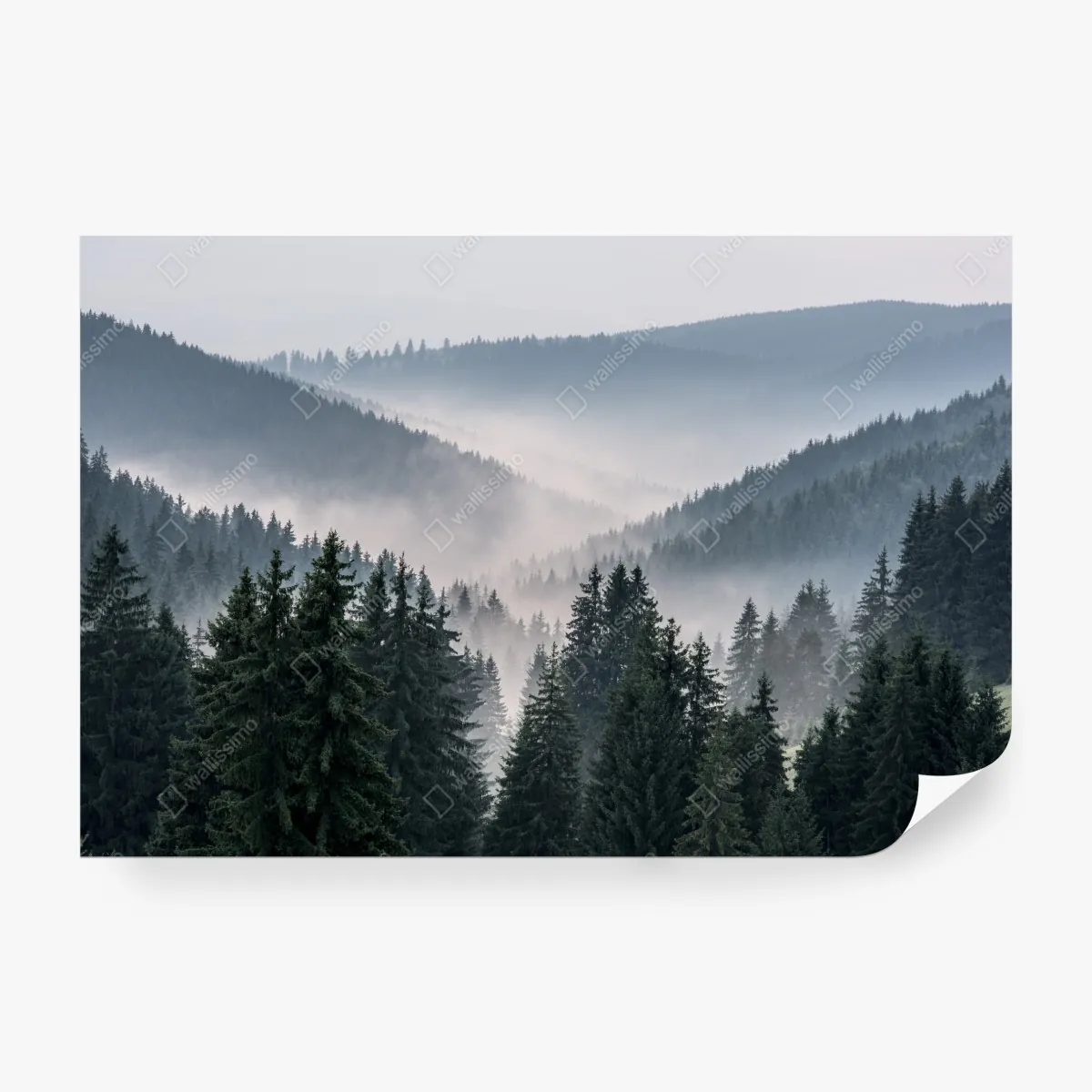 Fototapeta mglisty górski las – Wallissimo® Fototapeta mglisty górski las – Wallissimo®