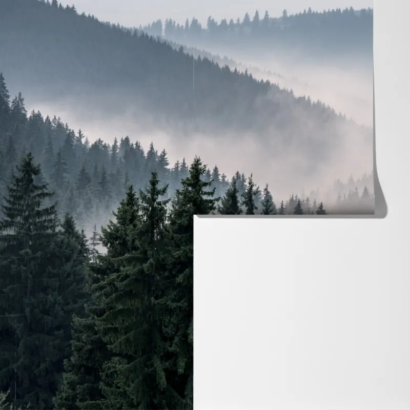 Fototapeta mglisty górski las – Wallissimo® Fototapeta mglisty górski las – Wallissimo®