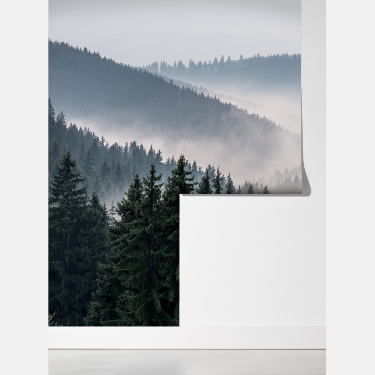 Fototapeta mglisty górski las – Wallissimo® Fototapeta mglisty górski las – Wallissimo®