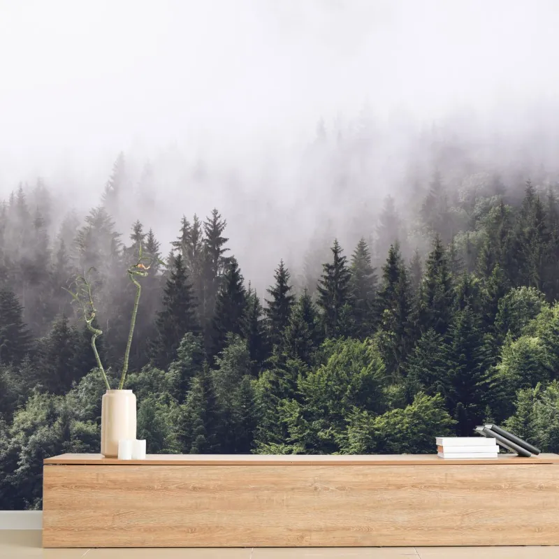 Fototapeta mglisty las iglasty na górskim zboczu