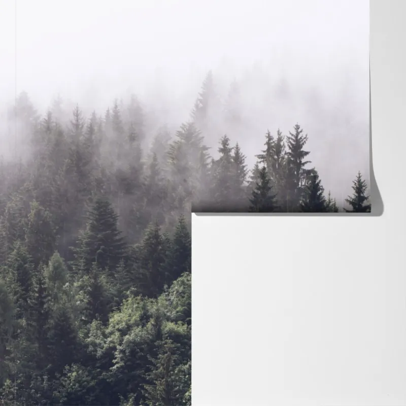 Fototapeta mglisty las iglasty na górskim zboczu – Wallissimo® Fototapeta mglisty las iglasty na górskim zboczu – Wallissimo®