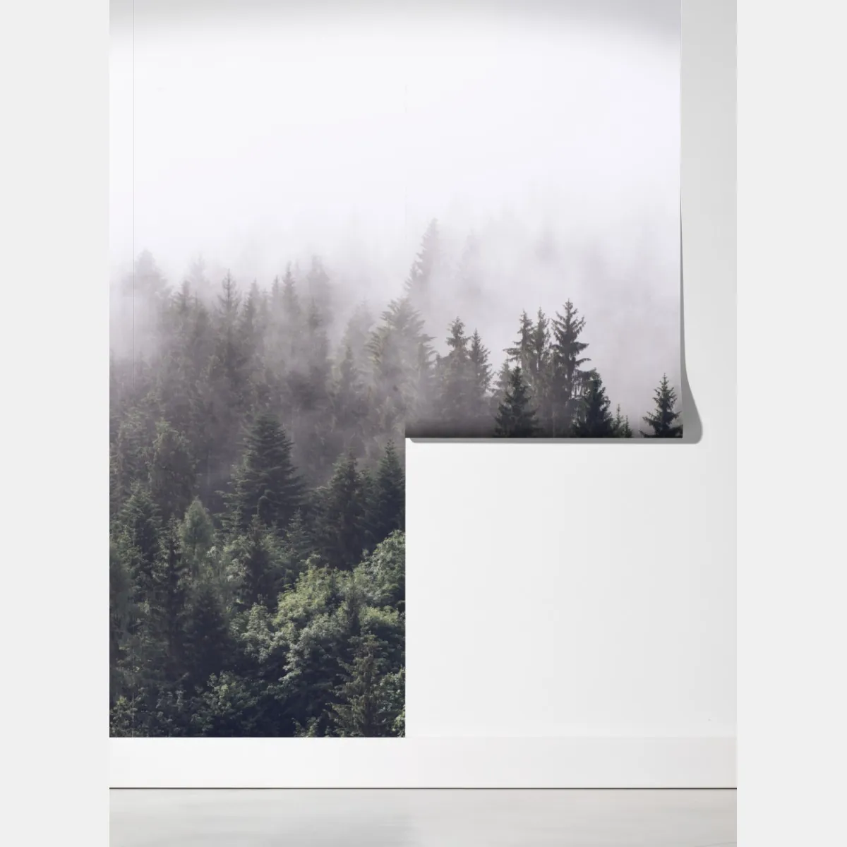 Fototapeta mglisty las iglasty na górskim zboczu – Wallissimo® Fototapeta mglisty las iglasty na górskim zboczu – Wallissimo®