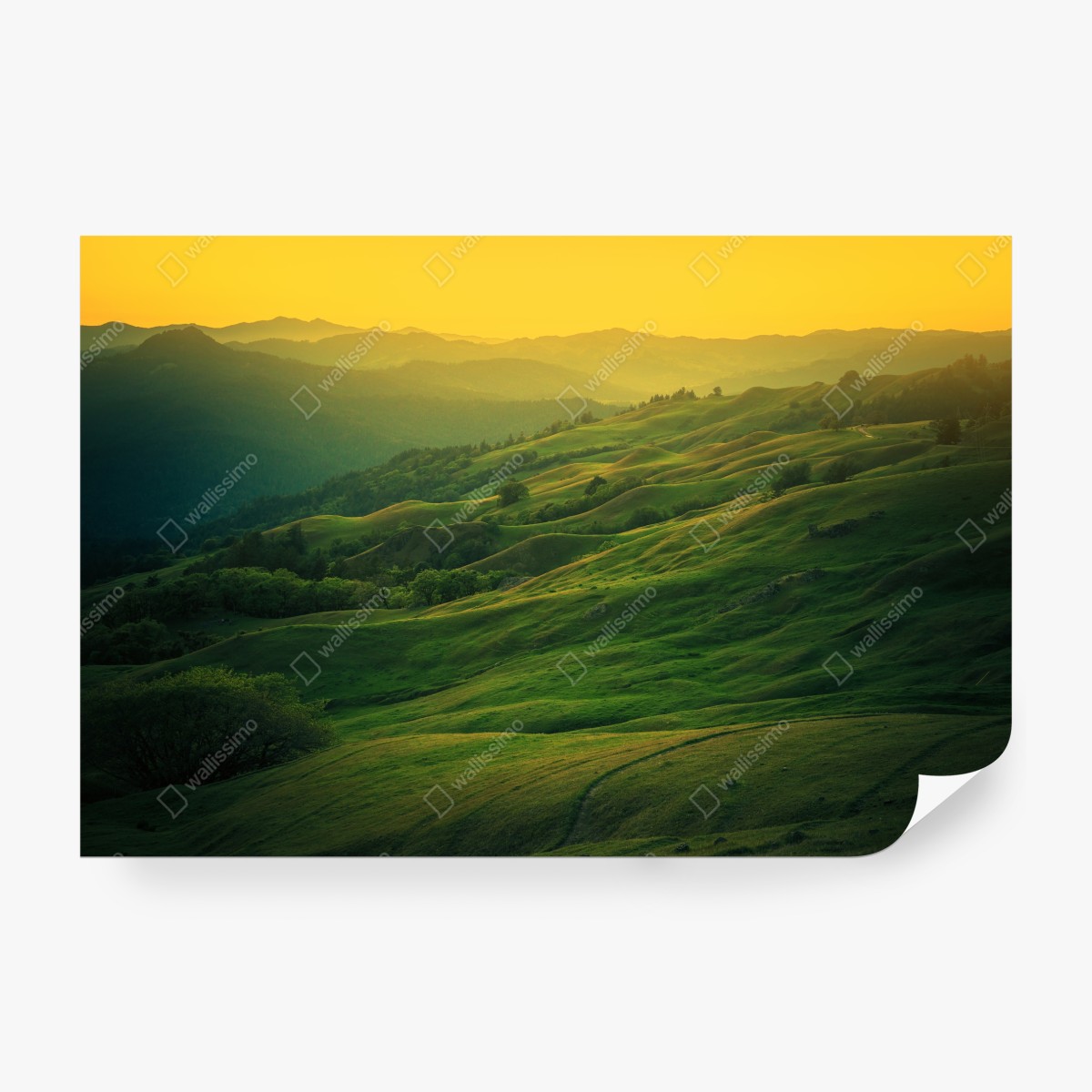 Fototapeta falujące wzgórza Północnej Kalifornii o zachodzie słońca – Wallissimo® Fototapeta falujące wzgórza Północnej Kalifornii o zachodzie słońca – Wallissimo®