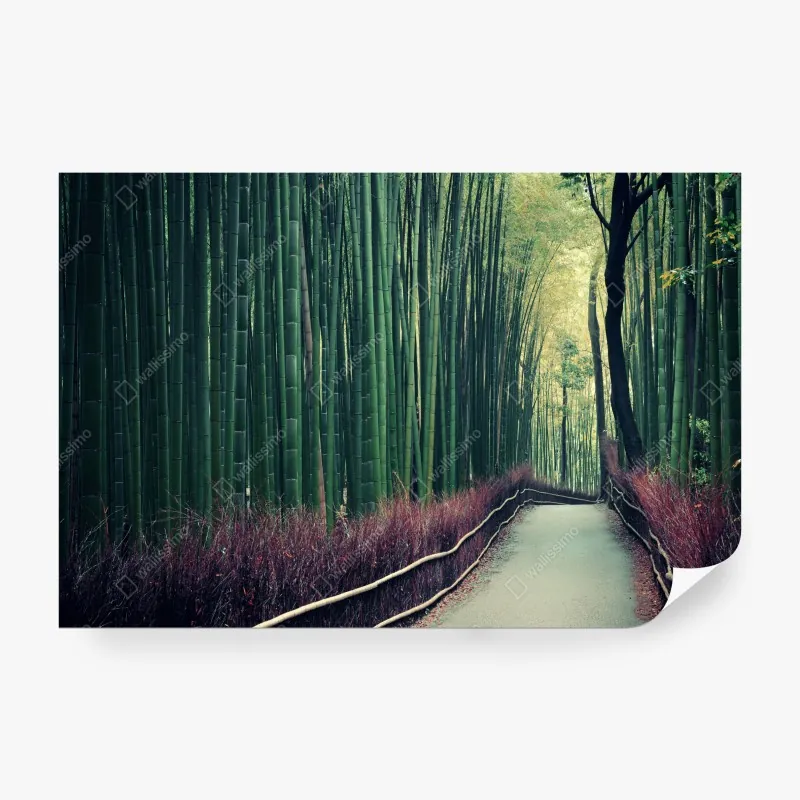 Fototapeta spokojna alejka bambusowa w Arashiyama