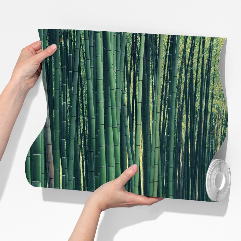Fototapeta spokojna alejka bambusowa w Arashiyama – Wallissimo® Fototapeta spokojna alejka bambusowa w Arashiyama – Wallissimo®
