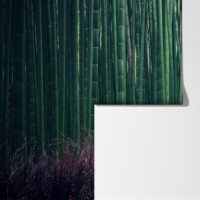 Fototapeta spokojna alejka bambusowa w Arashiyama – Wallissimo® Fototapeta spokojna alejka bambusowa w Arashiyama – Wallissimo®