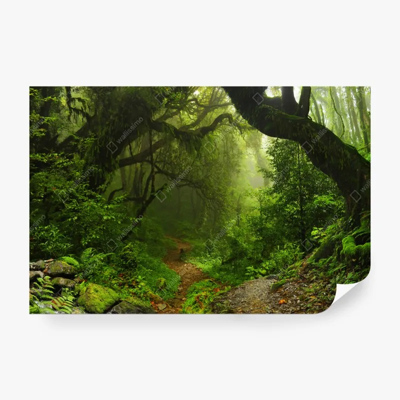 Fototapeta złote pole siana pod błękitnym niebem – Wallissimo®