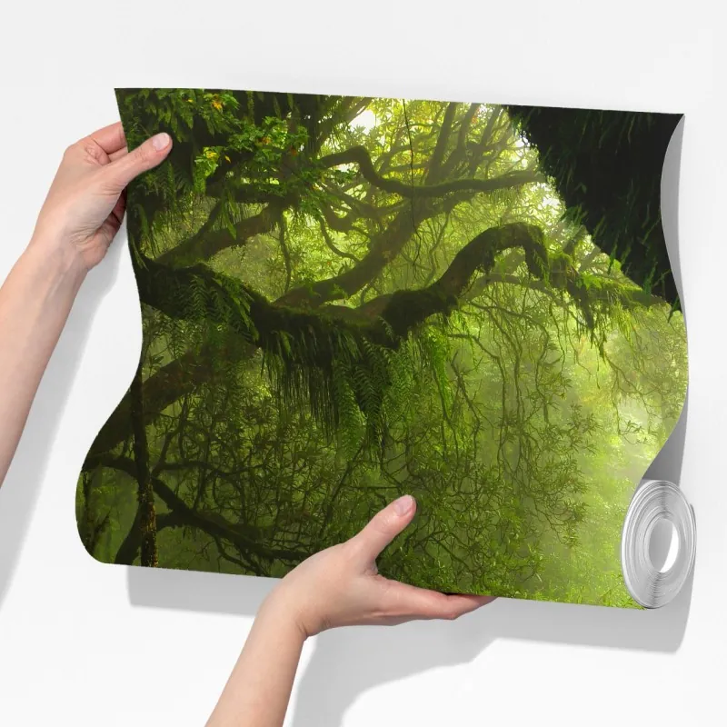 Fototapeta zaczarowana mszysta ścieżka leśna – Wallissimo® Fototapeta zaczarowana mszysta ścieżka leśna – Wallissimo®