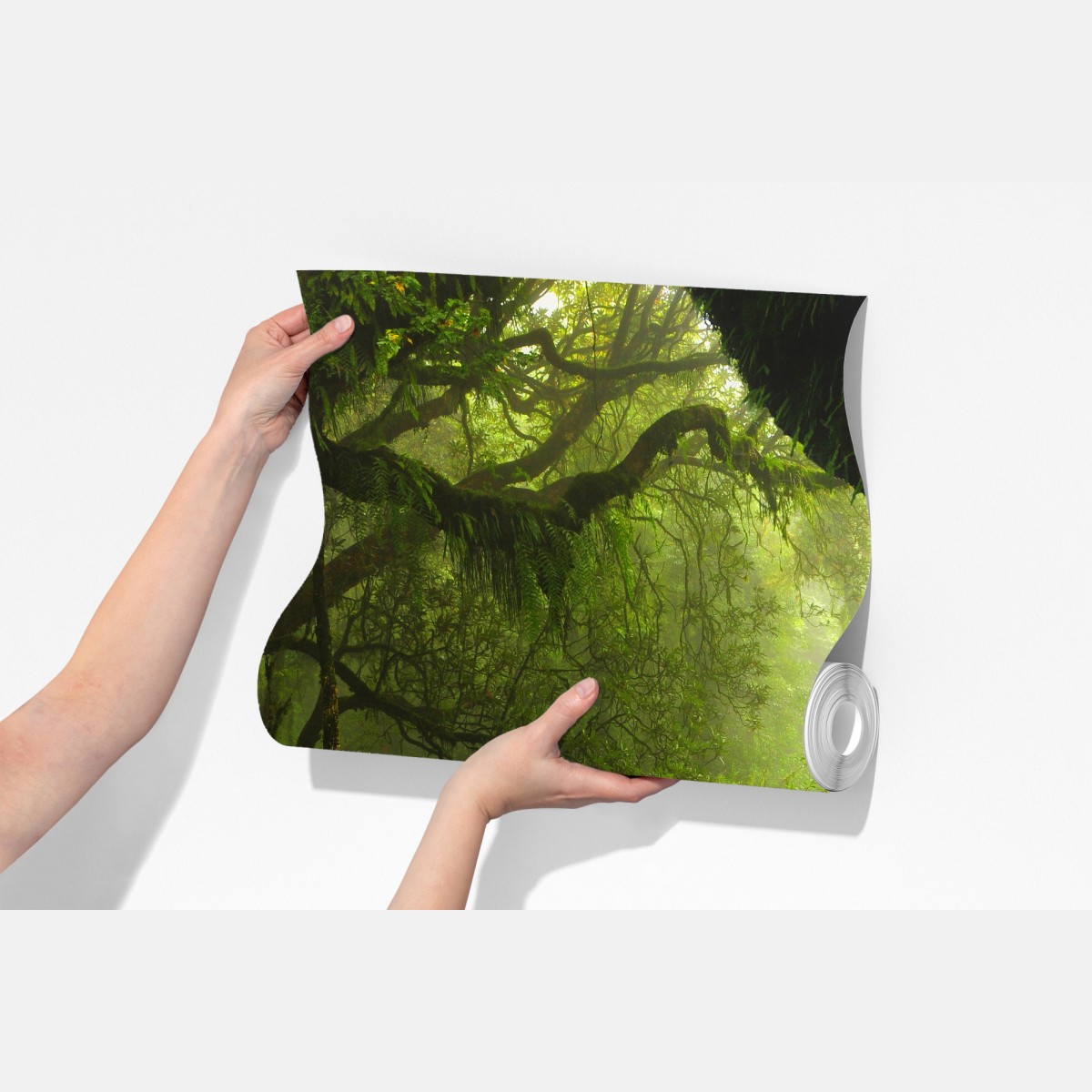 Fototapeta zaczarowana mszysta ścieżka leśna – Wallissimo® Fototapeta zaczarowana mszysta ścieżka leśna – Wallissimo®