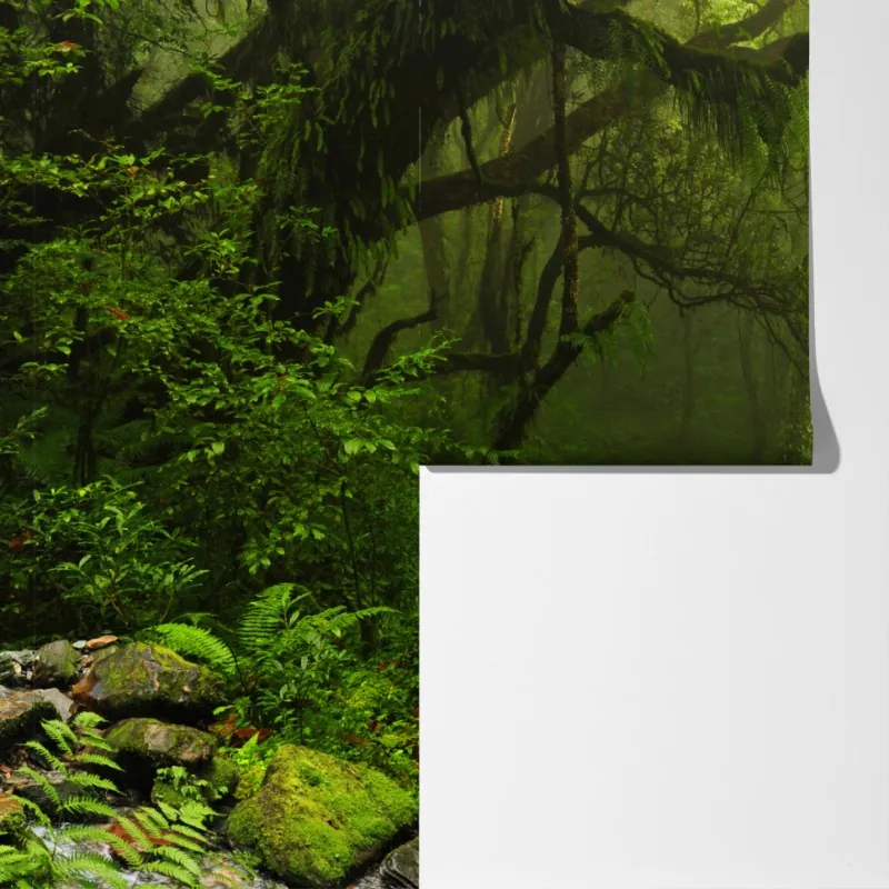 Fototapeta zaczarowana mszysta ścieżka leśna – Wallissimo® Fototapeta zaczarowana mszysta ścieżka leśna – Wallissimo®