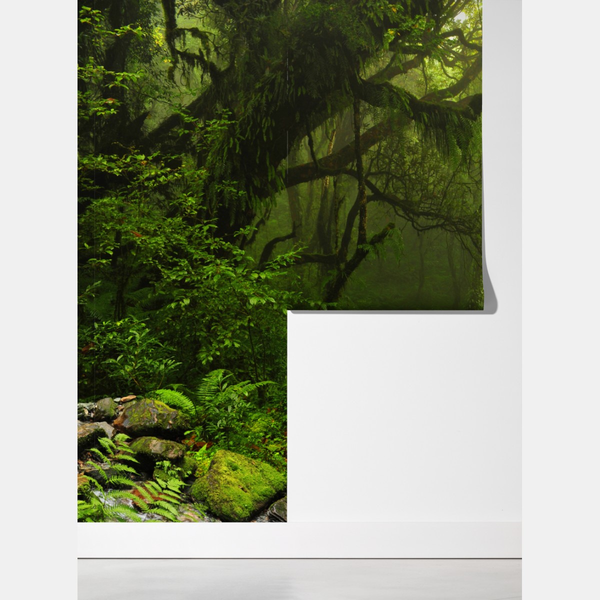 Fototapeta zaczarowana mszysta ścieżka leśna – Wallissimo® Fototapeta zaczarowana mszysta ścieżka leśna – Wallissimo®