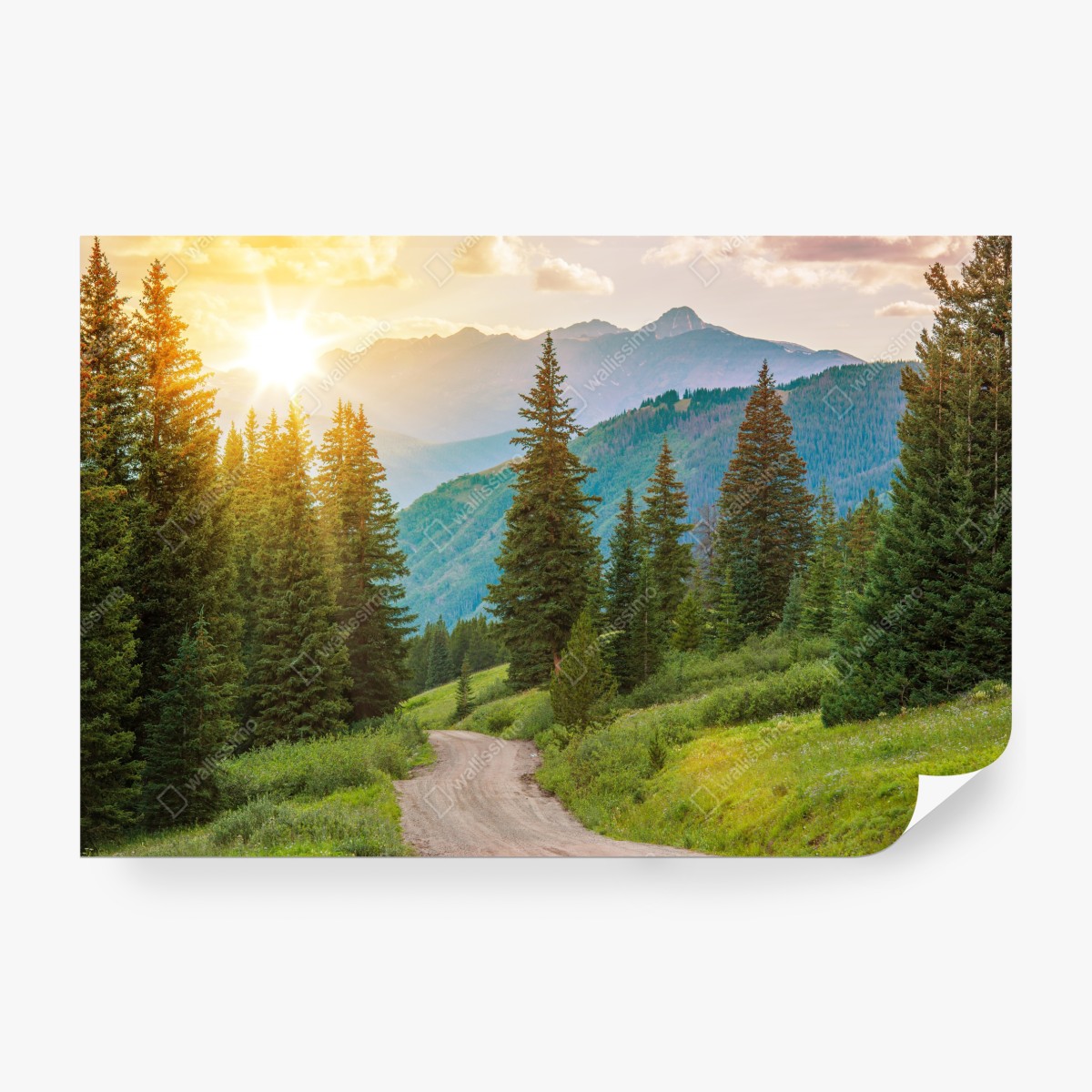 Fototapeta Colorado górska ścieżka o wschodzie słońca – Wallissimo® Fototapeta Colorado górska ścieżka o wschodzie słońca – Wallissimo®