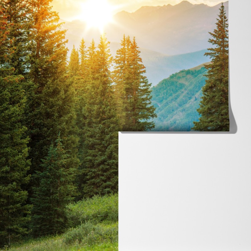 Fototapeta Colorado górska ścieżka o wschodzie słońca – Wallissimo® Fototapeta Colorado górska ścieżka o wschodzie słońca – Wallissimo®