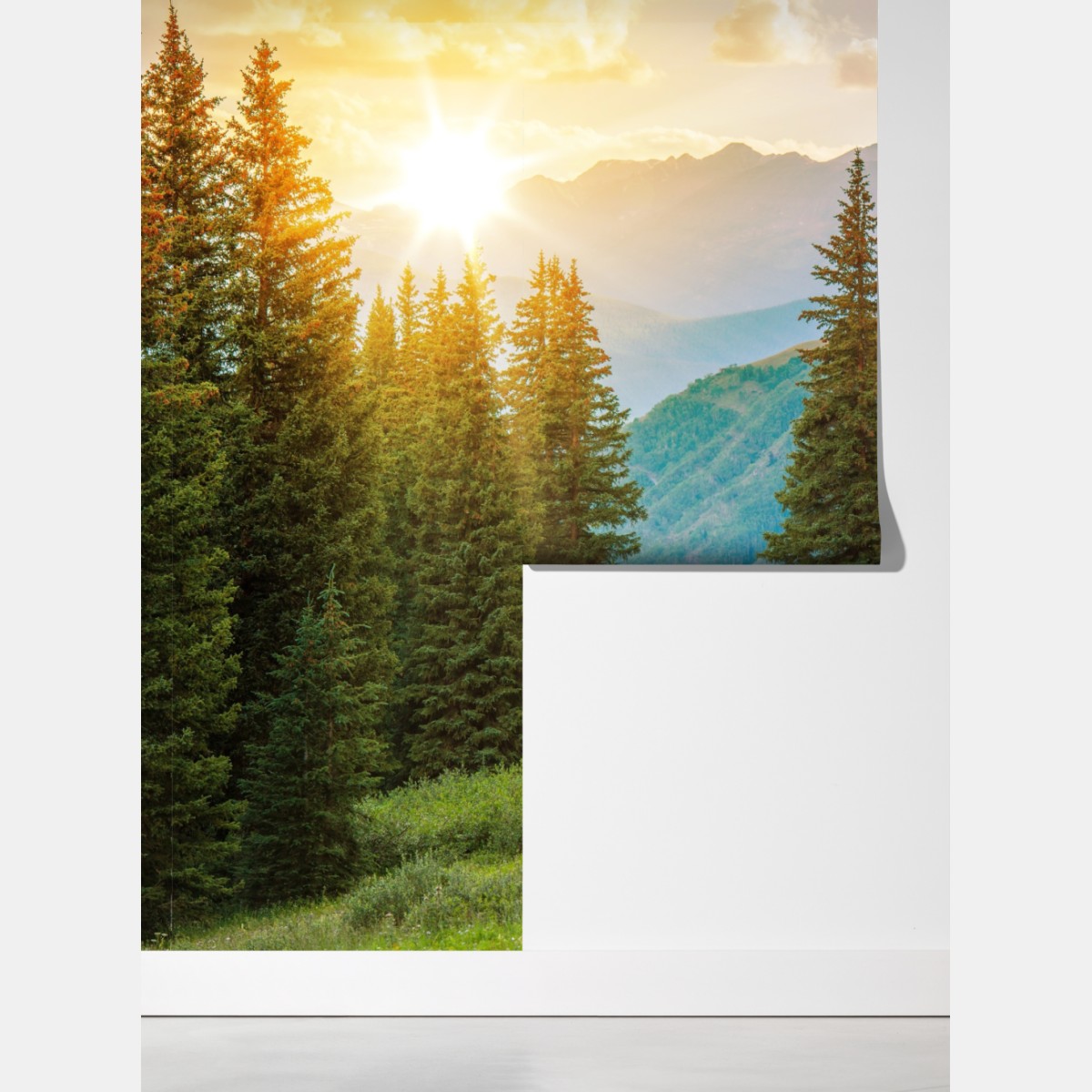 Fototapeta Colorado górska ścieżka o wschodzie słońca – Wallissimo® Fototapeta Colorado górska ścieżka o wschodzie słońca – Wallissimo®