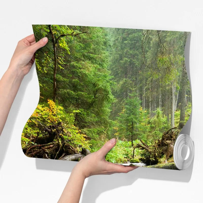 Fototapeta porośnięty mchem strumień leśny – Wallissimo® Fototapeta porośnięty mchem strumień leśny – Wallissimo®