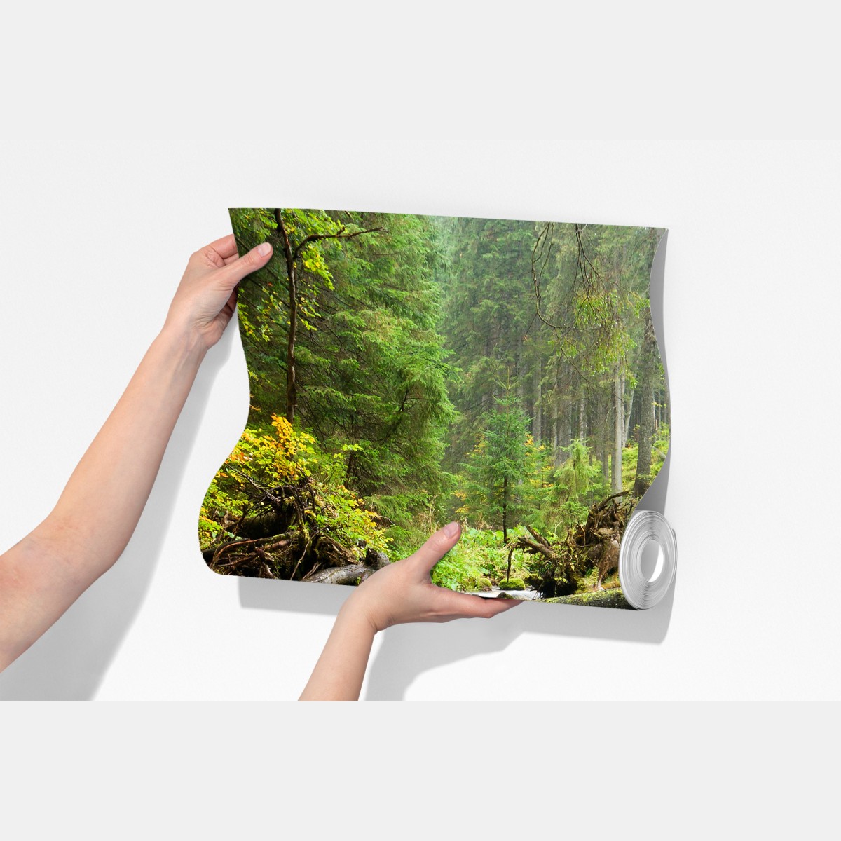 Fototapeta porośnięty mchem strumień leśny – Wallissimo® Fototapeta porośnięty mchem strumień leśny – Wallissimo®