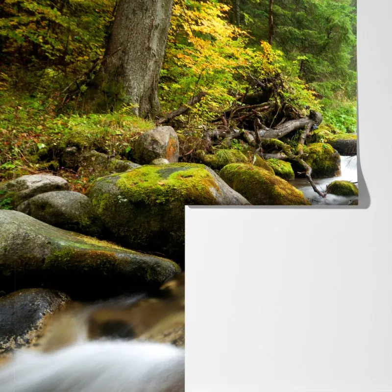 Fototapeta porośnięty mchem strumień leśny – Wallissimo® Fototapeta porośnięty mchem strumień leśny – Wallissimo®