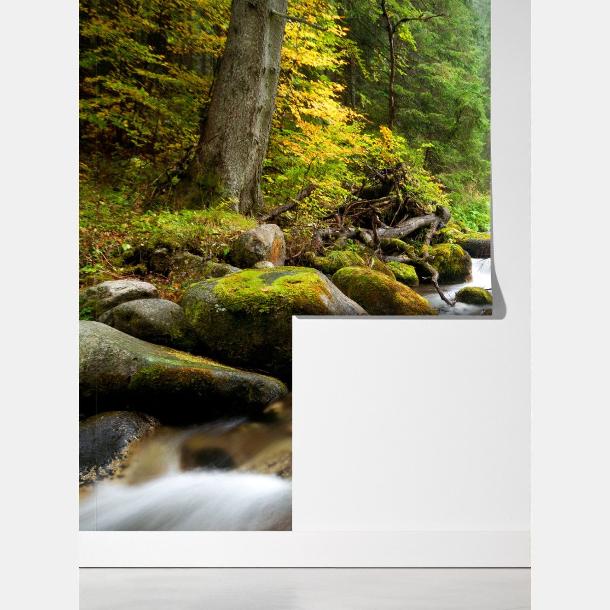 Fototapeta porośnięty mchem strumień leśny – Wallissimo® Fototapeta porośnięty mchem strumień leśny – Wallissimo®