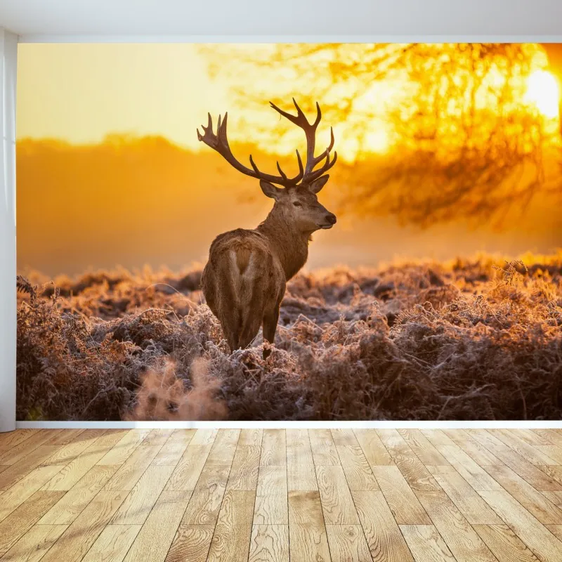 Fototapeta złoty jeleń o świcie