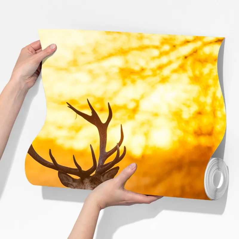 Fototapeta złoty jeleń o świcie – Wallissimo® Fototapeta złoty jeleń o świcie – Wallissimo®