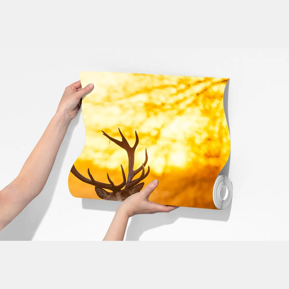 Fototapeta złoty jeleń o świcie – Wallissimo® Fototapeta złoty jeleń o świcie – Wallissimo®