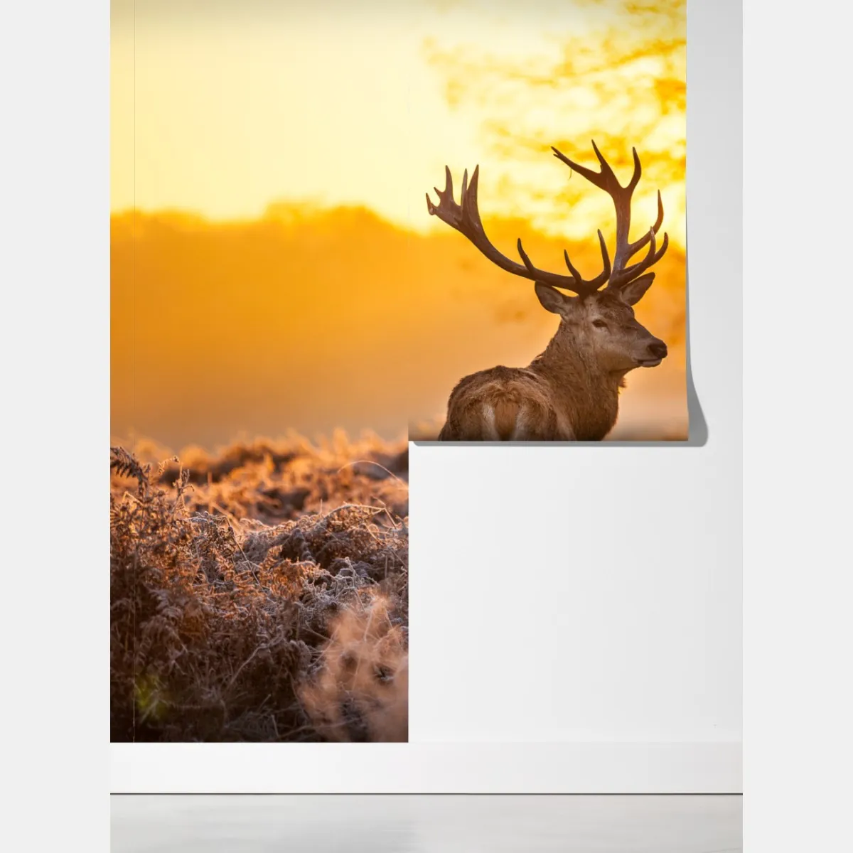 Fototapeta złoty jeleń o świcie – Wallissimo® Fototapeta złoty jeleń o świcie – Wallissimo®